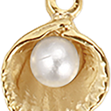 Clam Shell With Small Pearl CW018