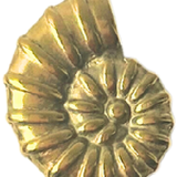 Matte Gold Spiral Shell CW021