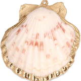 White Shell Pendant P014