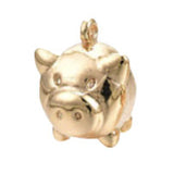Pig HFA037