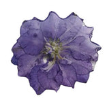 Purple Pressed Flower Pendant P010