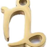 Small Capricorn Shape ZB016