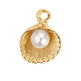 Clam Shell With Small Pearl CW018