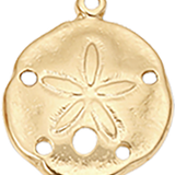 Sand Dollar CW035