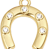 Large Horseshoe CW031