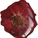Red Pressed Flower Pendant P012