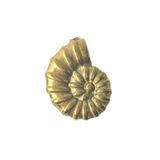 Matte Gold Spiral Shell CW021