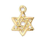 Jewish Star S020
