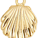 Small Gold Shell CW022