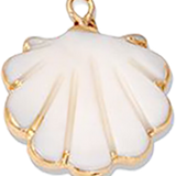 White Glossy Shell Shape CW008